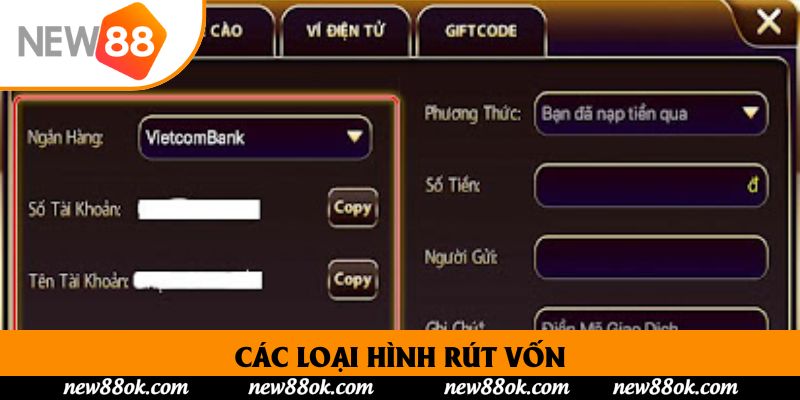 Các loại hình rút vốn